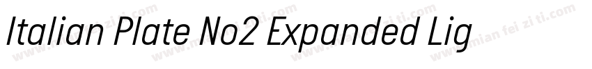 Italian Plate No2 Expanded Light字体转换